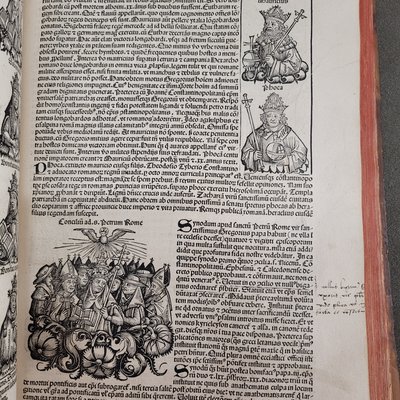 Image_12