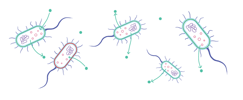 bacteria_cooperation